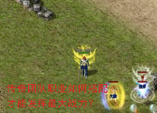 �����Ŷ�ְҵ��δ�����ܷ������ս����