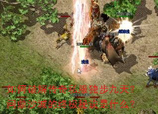 ����ƽ⴫��˽���������죿�ʶ�ɳ�ǵ��ռ��ؾ���ʲô��