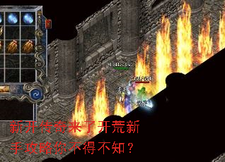 �¿��������˿������ֹ����㲻�ò�֪��