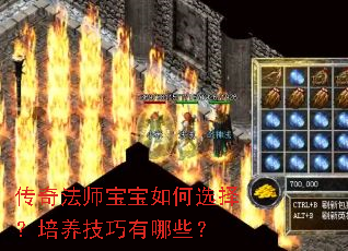 传奇法师宝宝如何选择?培养技巧有哪些? 传奇法师宝宝如何选择?培养技巧有哪些?
