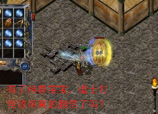 有了神兽宝宝,道士打怪效率真的翻倍了吗? 有了神兽宝宝,道士打怪效率真的翻倍了吗?