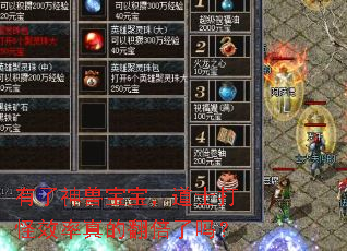 有了神兽宝宝,道士打怪效率真的翻倍了吗? 有了神兽宝宝,道士打怪效率真的翻倍了吗?