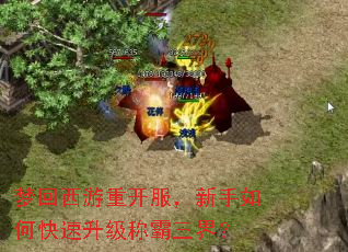 梦回西游重开服,新手如何快速升级称霸三界? 梦回西游重开服,新手如何快速升级称霸三界?