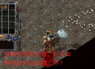 梦回西游重开服,新手如何快速升级称霸三界? 梦回西游重开服,新手如何快速升级称霸三界?