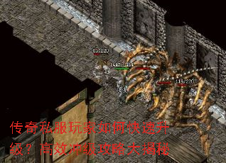 传奇私服玩家如何快速升级?高效冲级攻略大揭秘 传奇私服玩家如何快速升级?高效冲级攻略大揭秘