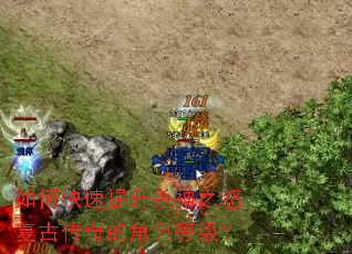 如何快速提升杀神之怒复古传奇的角色等级? 如何快速提升杀神之怒复古传奇的角色等级?