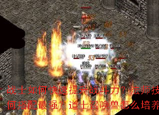 战士如何快速提升战斗力?法师技能如何搭配最强?道士召唤兽怎么培养? 战士如何快速提升战斗力?法师技能如何搭配最强?道士召唤兽怎么培养?