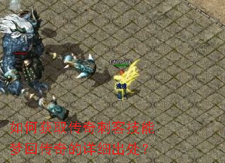 如何获取传奇刺客技能梦回传奇的详细出处? 如何获取传奇刺客技能梦回传奇的详细出处?