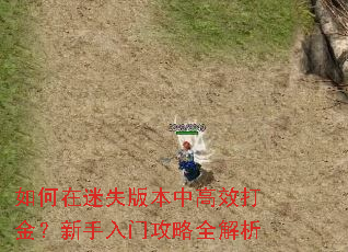 如何在迷失版本中高效打金?新手入门攻略全解析 如何在迷失版本中高效打金?新手入门攻略全解析