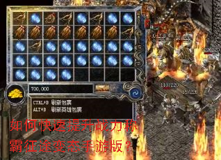 如何快速提升战力称霸征途变态手游版? 如何快速提升战力称霸征途变态手游版?