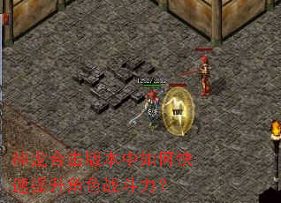 神龙合击版本中如何快速提升角色战斗力? 神龙合击版本中如何快速提升角色战斗力?
