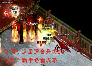 如何挑选最适合升级的怪物?新手必看攻略 如何挑选最适合升级的怪物?新手必看攻略