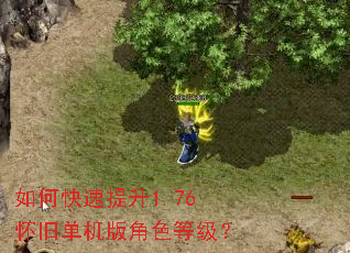 如何快速提升1.76怀旧单机版角色等级? 如何快速提升1.76怀旧单机版角色等级?