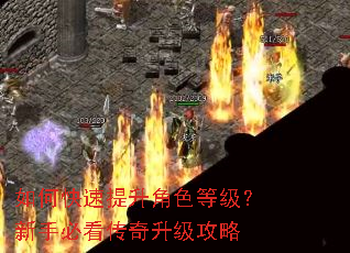 如何快速提升角色等级?新手必看传奇升级攻略 如何快速提升角色等级?新手必看传奇升级攻略