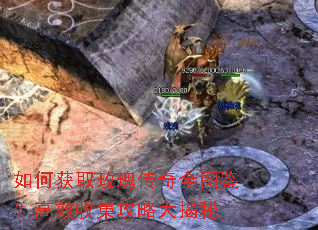 如何获取玫瑰传奇全图鉴?高效收集攻略大揭秘 如何获取玫瑰传奇全图鉴?高效收集攻略大揭秘