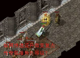 如何快速提升微变复古传奇私服角色等级? 如何快速提升微变复古传奇私服角色等级?