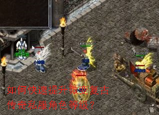 如何快速提升微变复古传奇私服角色等级? 如何快速提升微变复古传奇私服角色等级?