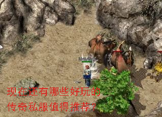 ���ڻ�����Щ����Ĵ���˽��ֵ���Ƽ���