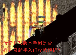 ����1.76�汾�����Ƿ���ڼ��������Ź��Խ�����