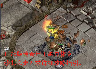 1.76版传奇尸王殿具体路线怎么走?求详细攻略指引。 1.76版传奇尸王殿具体路线怎么走?求详细攻略指引。