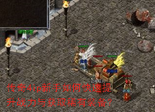 传奇4ip新手如何快速提升战力与获取稀有装备? 传奇4ip新手如何快速提升战力与获取稀有装备?