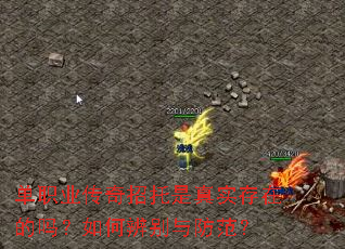 单职业传奇招托是真实存在的吗?如何辨别与防范? 单职业传奇招托是真实存在的吗?如何辨别与防范?