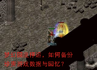梦幻国度停运,如何备份珍贵游戏数据与回忆? 梦幻国度停运,如何备份珍贵游戏数据与回忆?