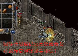 国际计划组织究竟隐藏着怎样的传奇游戏通关秘诀? 国际计划组织究竟隐藏着怎样的传奇游戏通关秘诀?