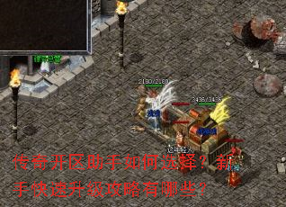 传奇开区助手如何选择?新手快速升级攻略有哪些? 传奇开区助手如何选择?新手快速升级攻略有哪些?