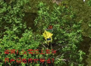 如何打造雪纺上衣秋日高级感传奇穿搭? 如何打造雪纺上衣秋日高级感传奇穿搭?