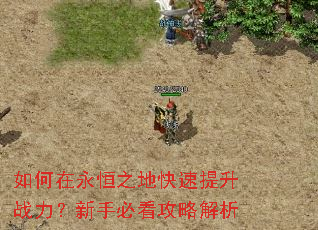 如何在永恒之地快速提升战力?新手必看攻略解析 如何在永恒之地快速提升战力?新手必看攻略解析