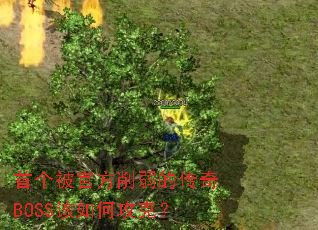 首个被官方削弱的传奇BOSS该如何攻克? 首个被官方削弱的传奇BOSS该如何攻克?