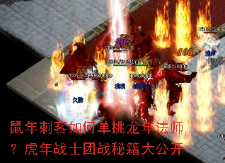 鼠年刺客如何单挑龙年法师?虎年战士团战秘籍大公开 鼠年刺客如何单挑龙年法师?虎年战士团战秘籍大公开