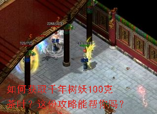 如何获取千年树妖100克茶叶?这份攻略能帮你吗? 如何获取千年树妖100克茶叶?这份攻略能帮你吗?