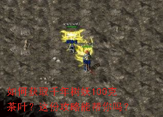 如何获取千年树妖100克茶叶?这份攻略能帮你吗? 如何获取千年树妖100克茶叶?这份攻略能帮你吗?