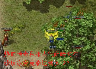 热血传奇私服人气巅峰时在线玩家究竟能达到多少? 热血传奇私服人气巅峰时在线玩家究竟能达到多少?