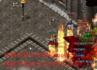 ������¿�����45woo�п��������ȼ����ȡ����װ����